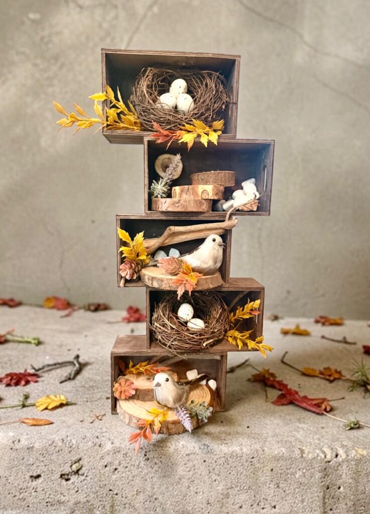 Birds and Nests